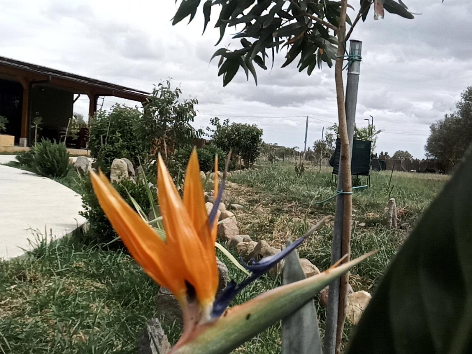 Podere Kiri Dome Experience Decimomannu Екстериор снимка